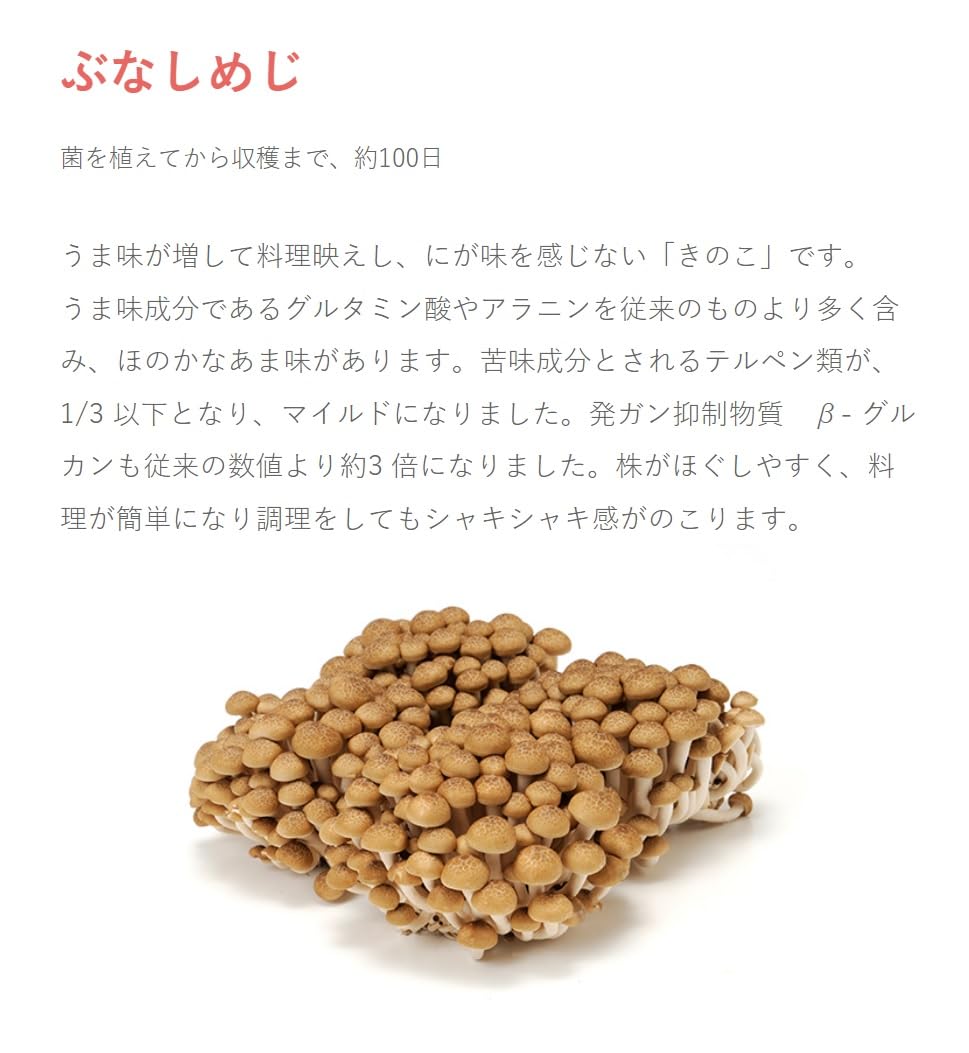 Amazon.co.jp: 長野県産 ぶなしめじ大容量 1パック 200g : 食品・飲料